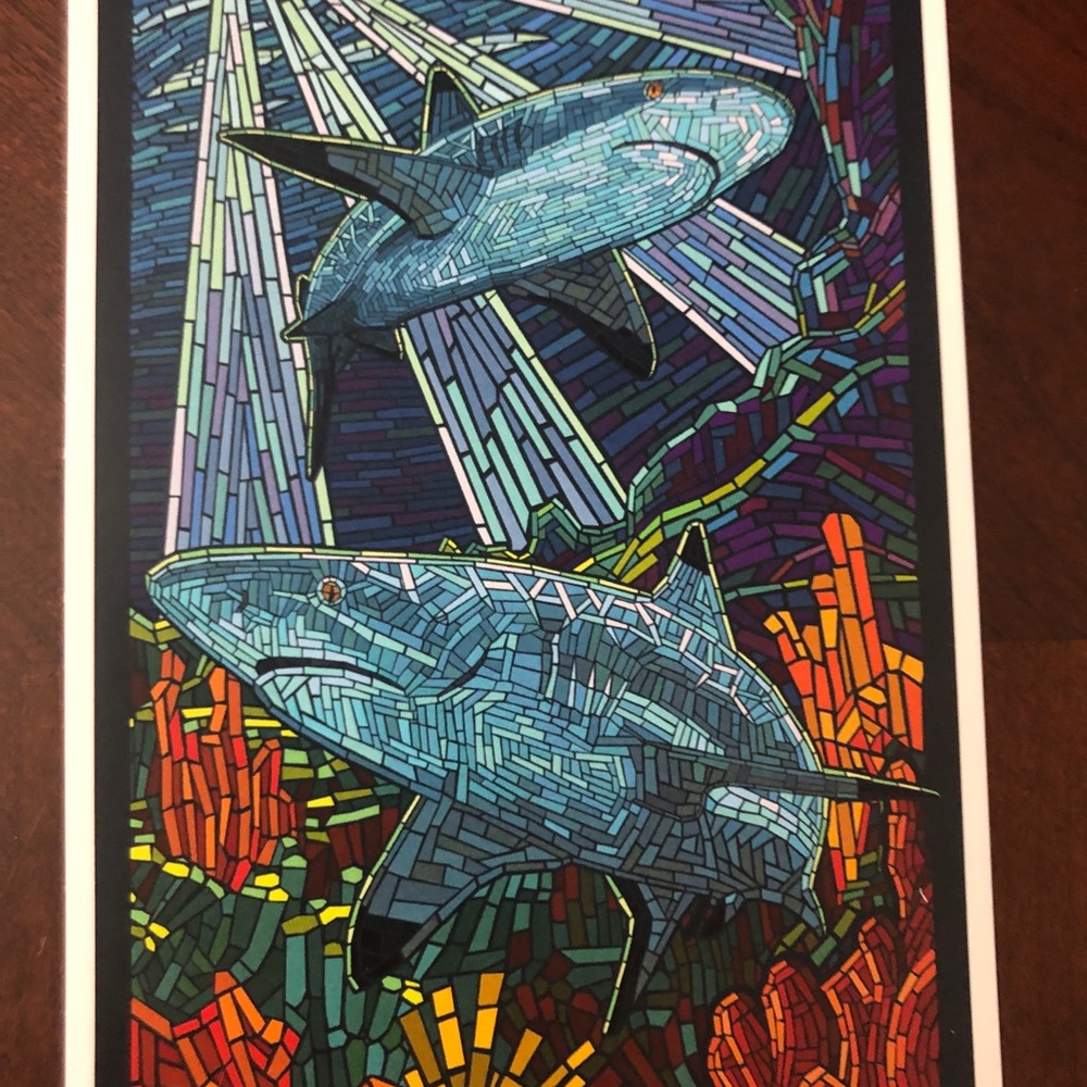 Lantern Press, Black Tip Reef Shark, Paper Mosaic, Postcard